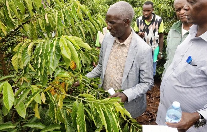 Uganda, A Proud Coffee Giant Rooted In Rich Soil and Resilient Spirit
