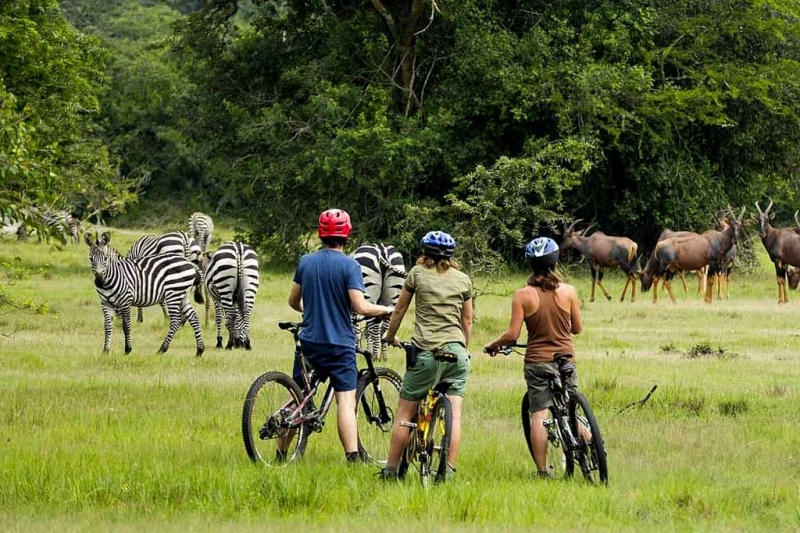 A 7-day tour covering Lake Mburo, Queen Elizabeth, and Murchison Falls National Parks in Uganda